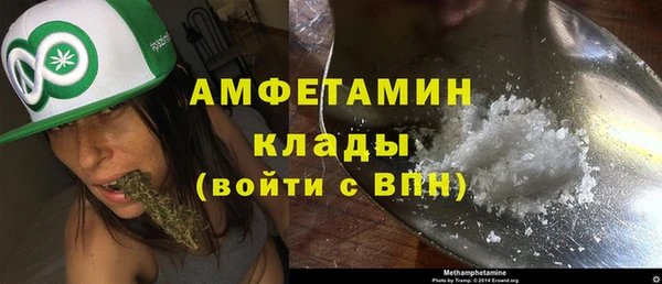 амф Алексин