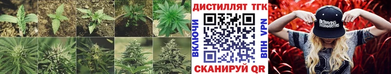ТГК вейп с тгк  Сокол 