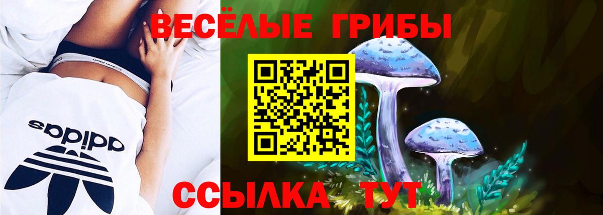 Псилоцибиновые грибы Cubensis Сокол